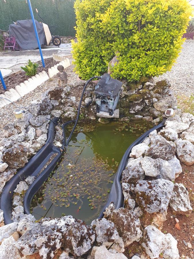 Bed And Breakfast Les Roses Multicolores Du 47 Fumel المظهر الخارجي الصورة
